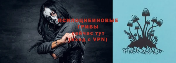 ALPHA PVP Кодинск