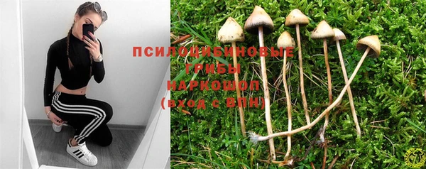 ALPHA PVP Кодинск