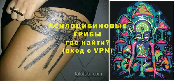 ALPHA PVP Кодинск