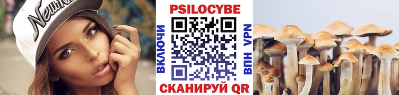 Купить  Яблоновский  Галлюциногенные грибы GOLDEN TEACHER 