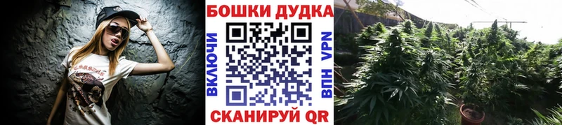 Купить где  Яблоновский  Бошки Шишки план 